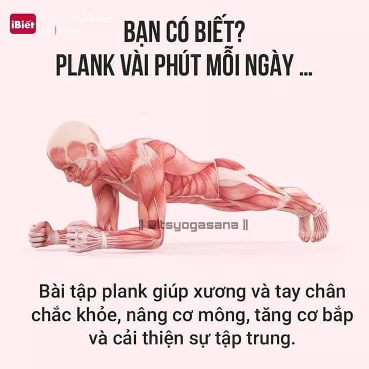 Tư Thế Tập Yoga - Plank