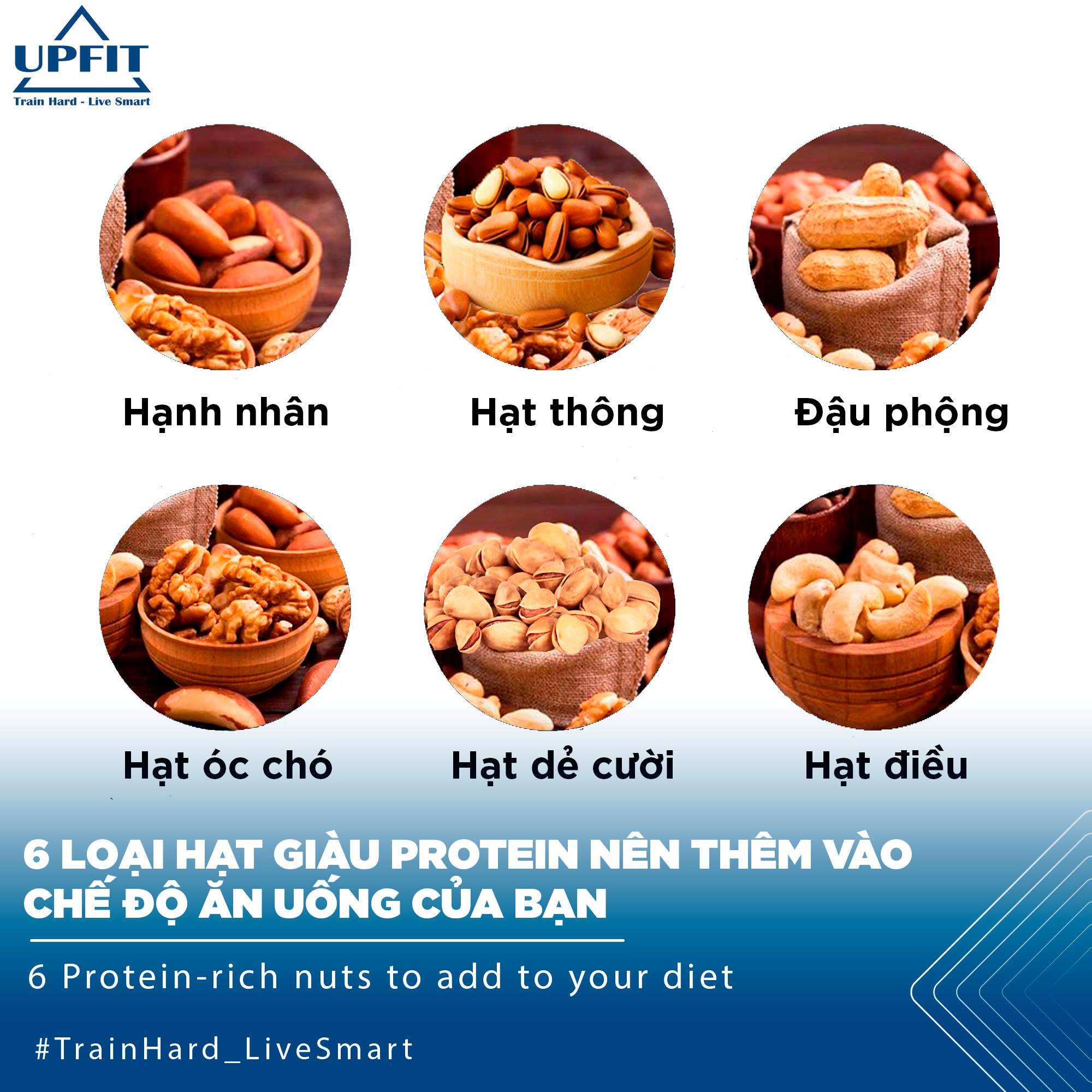 6 Loại Hạt Giàu Protein
