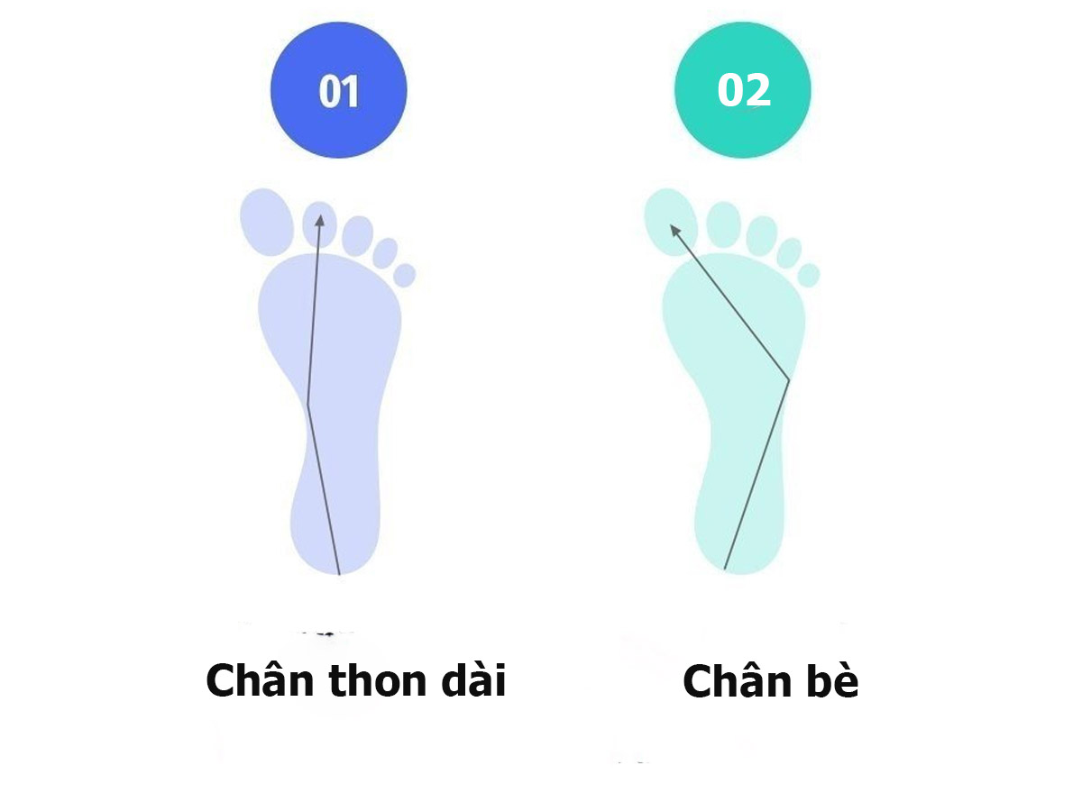 Lòng bàn chân dài và lòng bàn chân bè